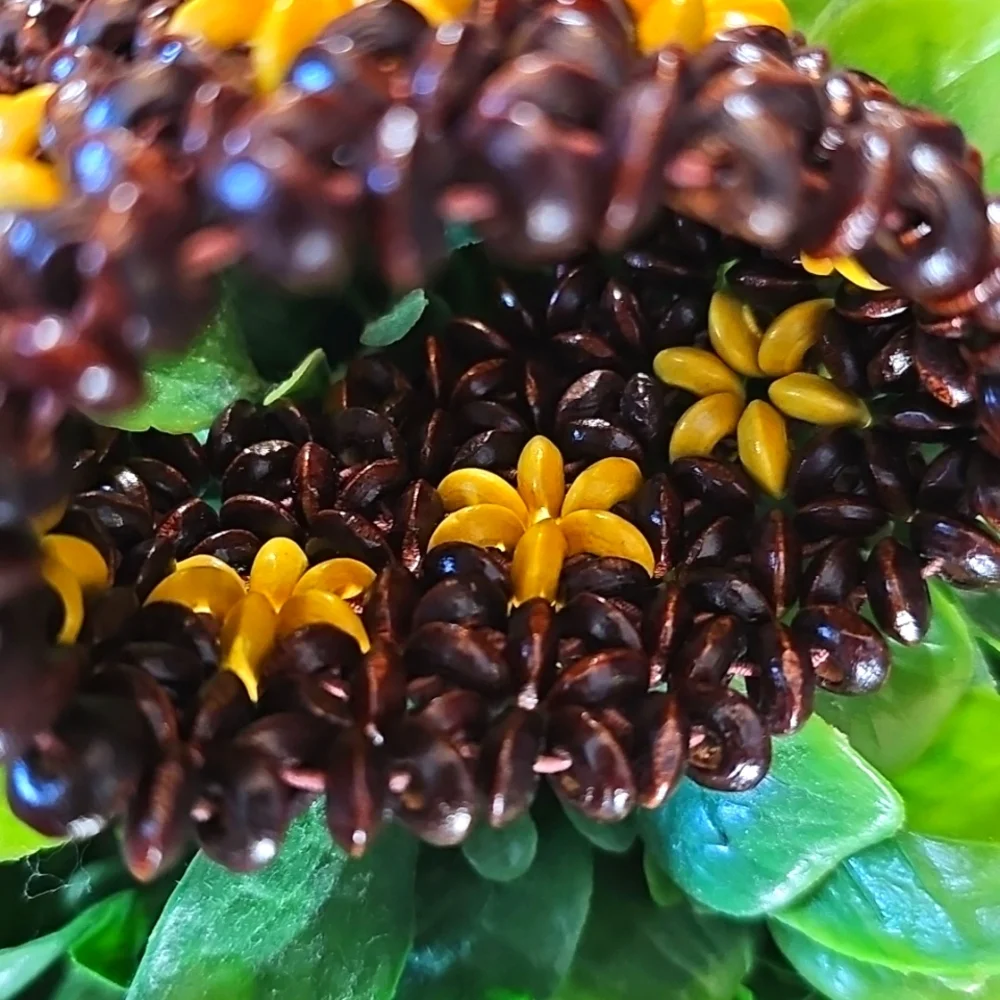 Wooden Bracelet - Picture 6 of 11